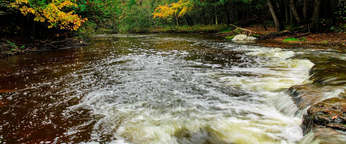 A fast-flowing river surrounded by autumn-colored trees.