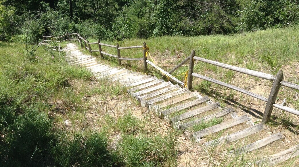 The Sinkhole Path is a great hiking trail near Onaway. The Sinkhole region has an interesting geologic history and the wooded trail is beautiful. This photo shows stairs down into one of the sinkholes (and, no, you aren't required to go all the way down there and back up the other side 😉).