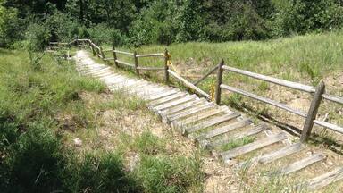 The Sinkhole Path is a great hiking trail near Onaway. The Sinkhole region has an interesting geologic history and the wooded trail is beautiful. This photo shows stairs down into one of the sinkholes (and, no, you aren't required to go all the way down there and back up the other side 😉).