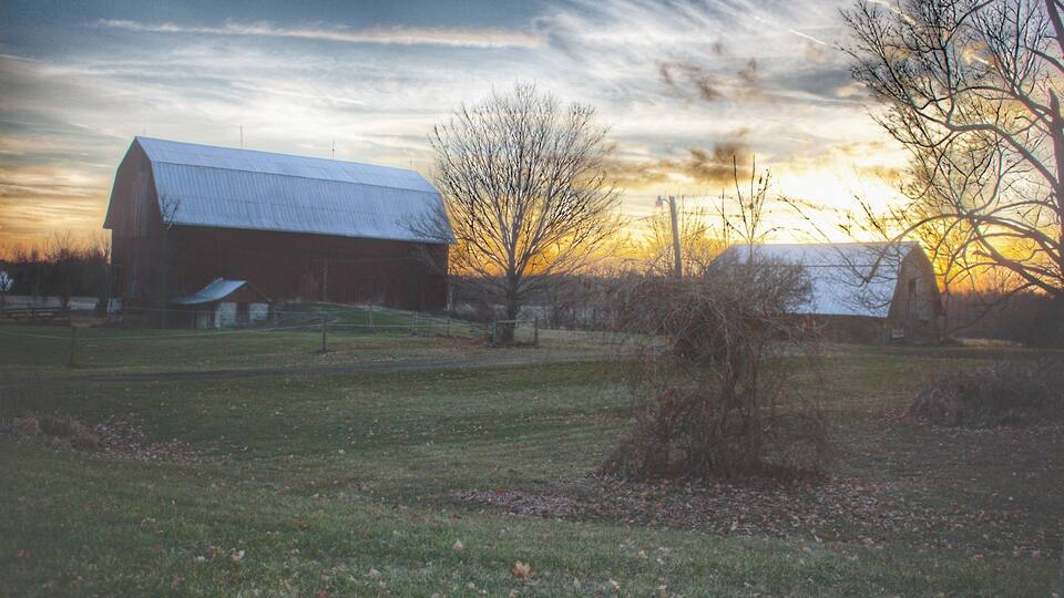 A barn, a tree, and a grassy field at sunset.
