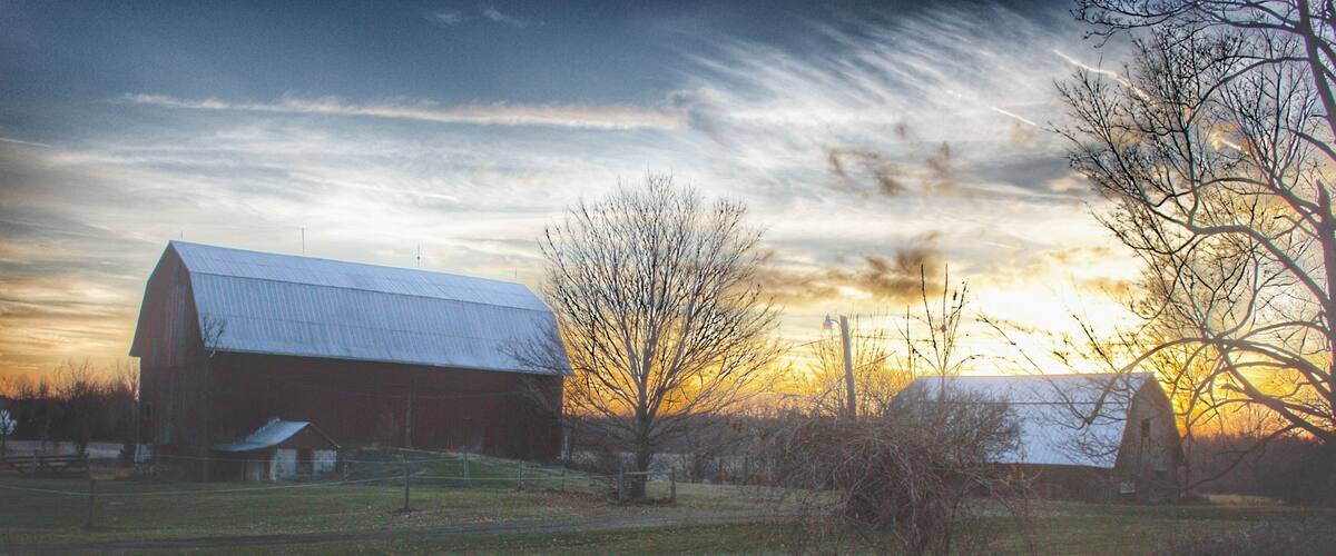 A barn, a tree, and a grassy field at sunset.