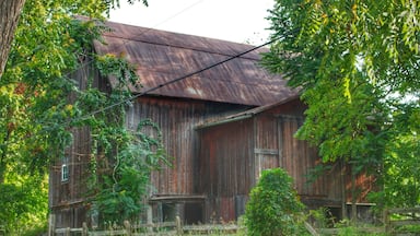 0949 - Oxford Rusted I (0949-BAR-082817-0938A)