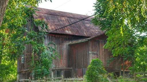 0949 - Oxford Rusted I (0949-BAR-082817-0938A)