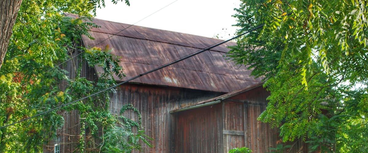 A rustic barn surrounded by lush greenery and a wooden fence.