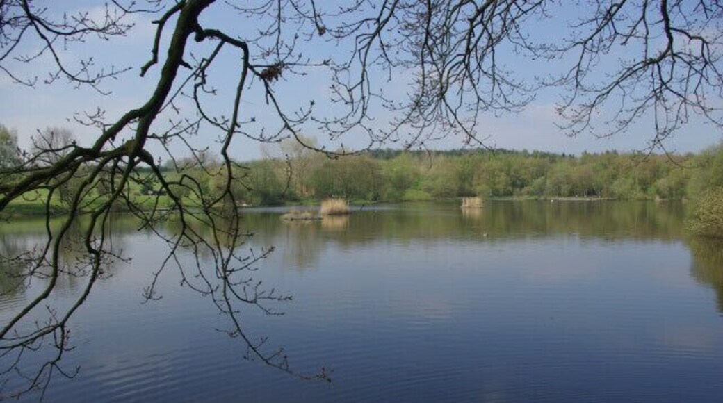 Osborne's Pond, Shipley Park Osborne's Pond is seen here close to the park's access from Marlpool.
