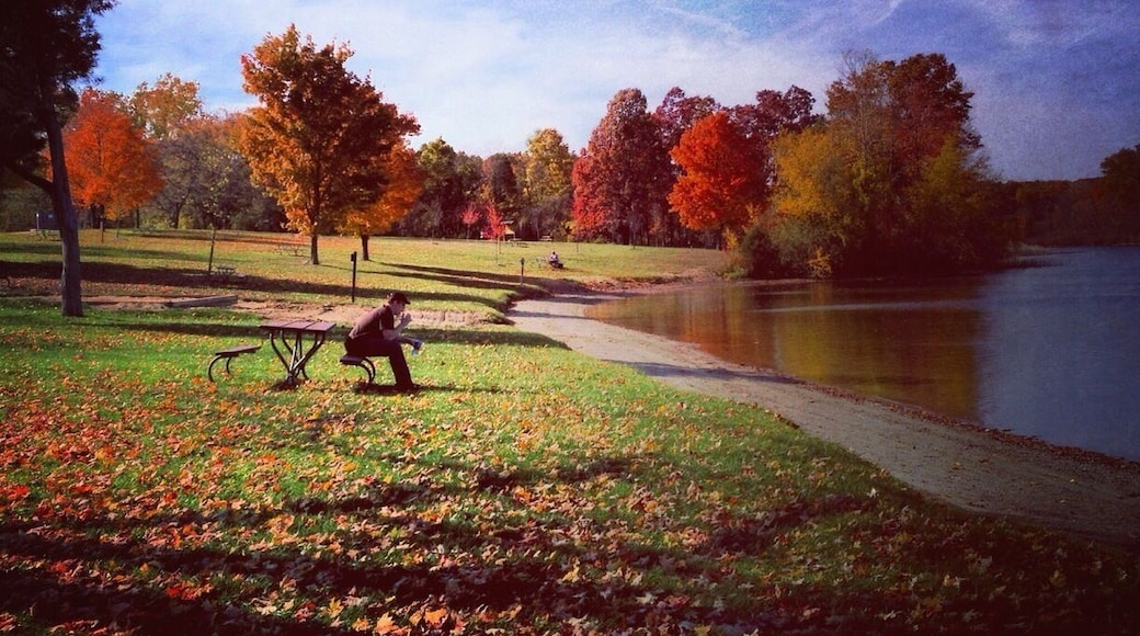 Silver Lake in Pinckney Recreational Area is great in all seasons. And huge. 11,000 acres of hiking trails (35 miles) mountain biking (17 miles), swimming, fishing, boating, camping, picnicking. Out-of-State vehicle Day Pass $8 / $29 Annual. Michigan residents less. âą http://www.stateparks.com/pinckney_recreation_area.html âą #Pinckney #Michigan #camp #hike #bike