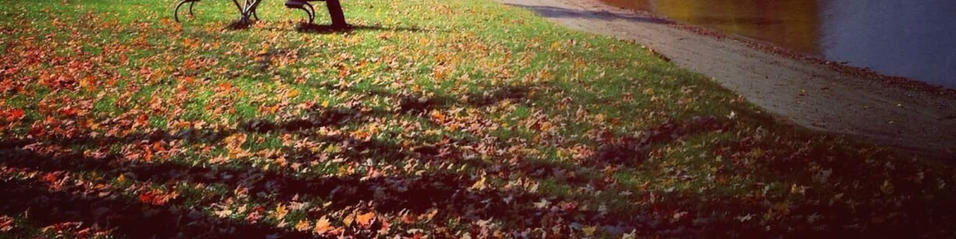 Silver Lake in Pinckney Recreational Area is great in all seasons. And huge. 11,000 acres of hiking trails (35 miles) mountain biking (17 miles), swimming, fishing, boating, camping, picnicking. Out-of-State vehicle Day Pass $8 / $29 Annual. Michigan residents less. • http://www.stateparks.com/pinckney_recreation_area.html • #Pinckney #Michigan #camp #hike #bike