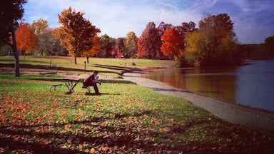 Silver Lake in Pinckney Recreational Area is great in all seasons. And huge. 11,000 acres of hiking trails (35 miles) mountain biking (17 miles), swimming, fishing, boating, camping, picnicking. Out-of-State vehicle Day Pass $8 / $29 Annual. Michigan residents less. • http://www.stateparks.com/pinckney_recreation_area.html • #Pinckney #Michigan #camp #hike #bike