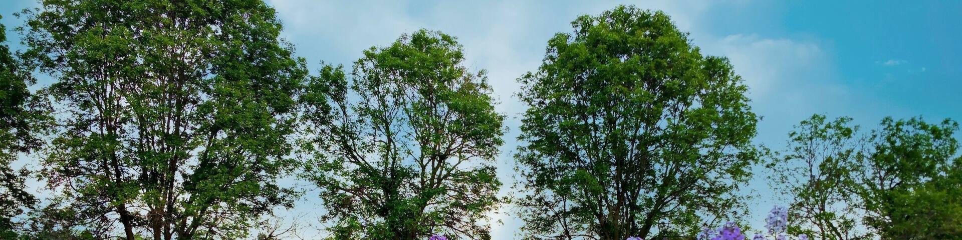 Looking to pull off the hwy and stretch your legs? Check out Rambadt park in MI