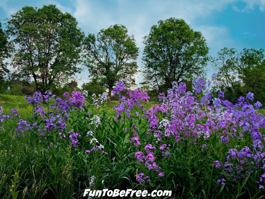 Looking to pull off the hwy and stretch your legs?  Check out Rambadt park in MI