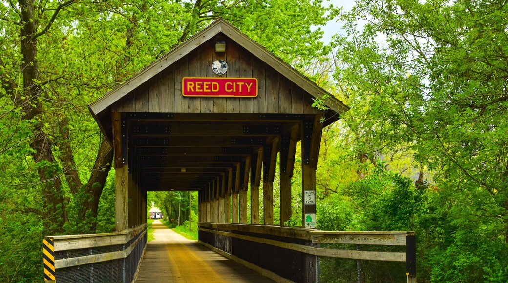 Reed City