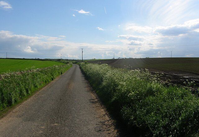 Lane, Kinglassie. Cow parsley and tattie rigs.