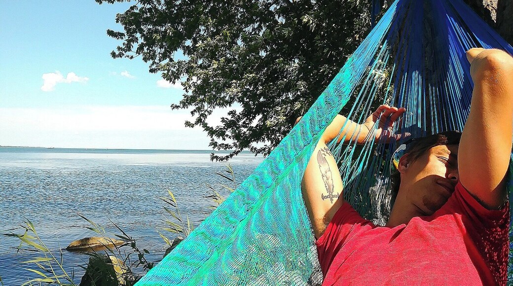 Hammocking next to Lake Erie!
