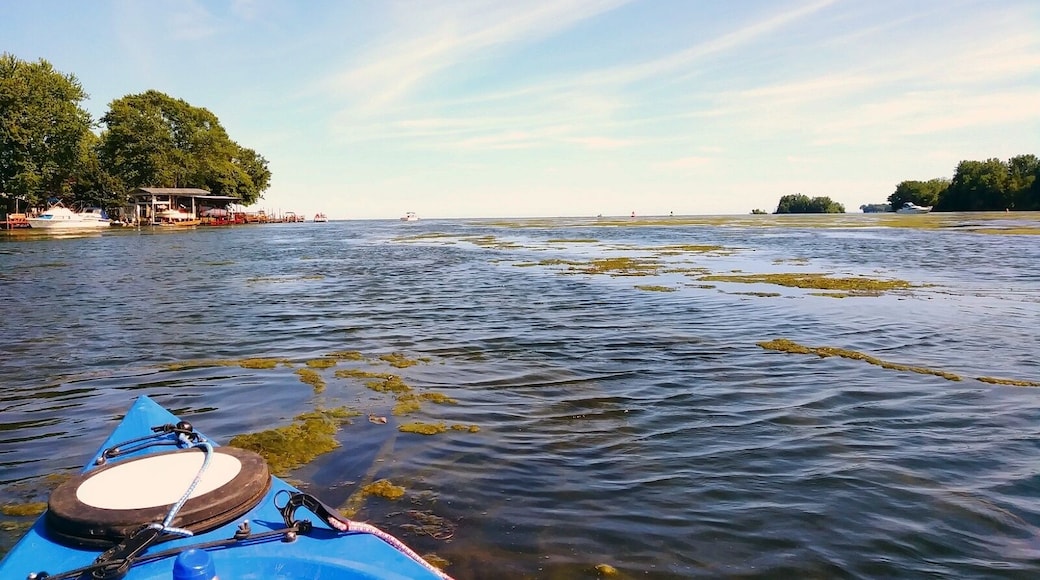 Kayaking through the river and canals in Gibraltar, MI. Perfect day on the water!