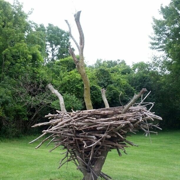 What I can only assume is one of the few remaining pterodactyl nests in the state of Michigan.