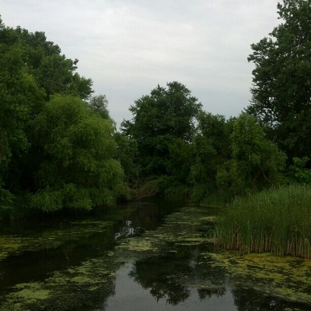One of the many inlets along the Lake Erie shore.