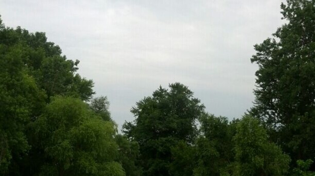 One of the many inlets along the Lake Erie shore.