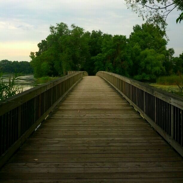 The boardwalk along the shore of Lake Erie leading to the lotus beds.