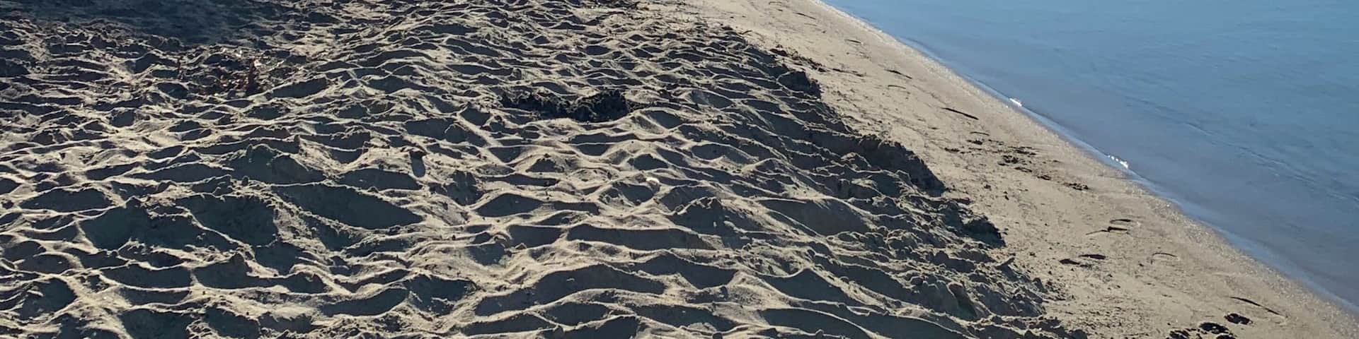 Early morning sunrise walk on the shores of Higgins Lake.