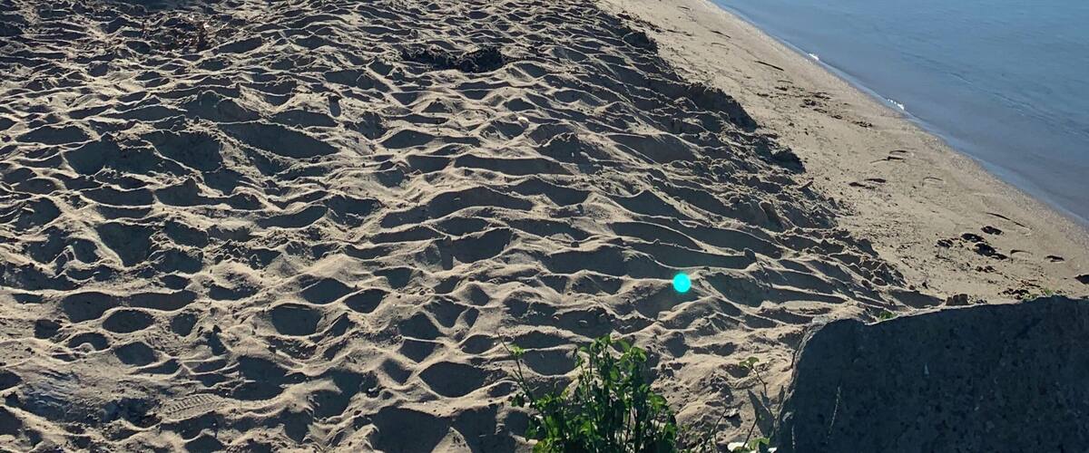 Early morning sunrise walk on the shores of Higgins Lake.