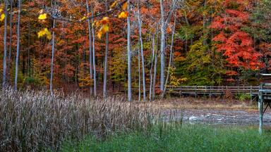 Scenic boardwalk trail along lake in Maybury state park in Michigan
