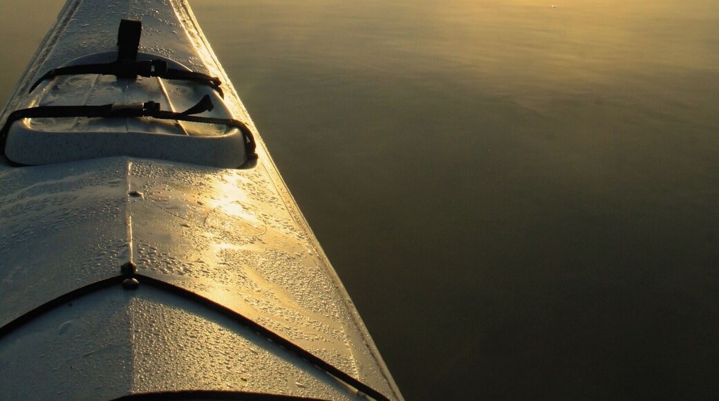 Kayaking the misty morning sunrise over Devoe Lake in Michigan's Rifle River State Recreation Area.
#GoldenHour
#waterlust #kayak
