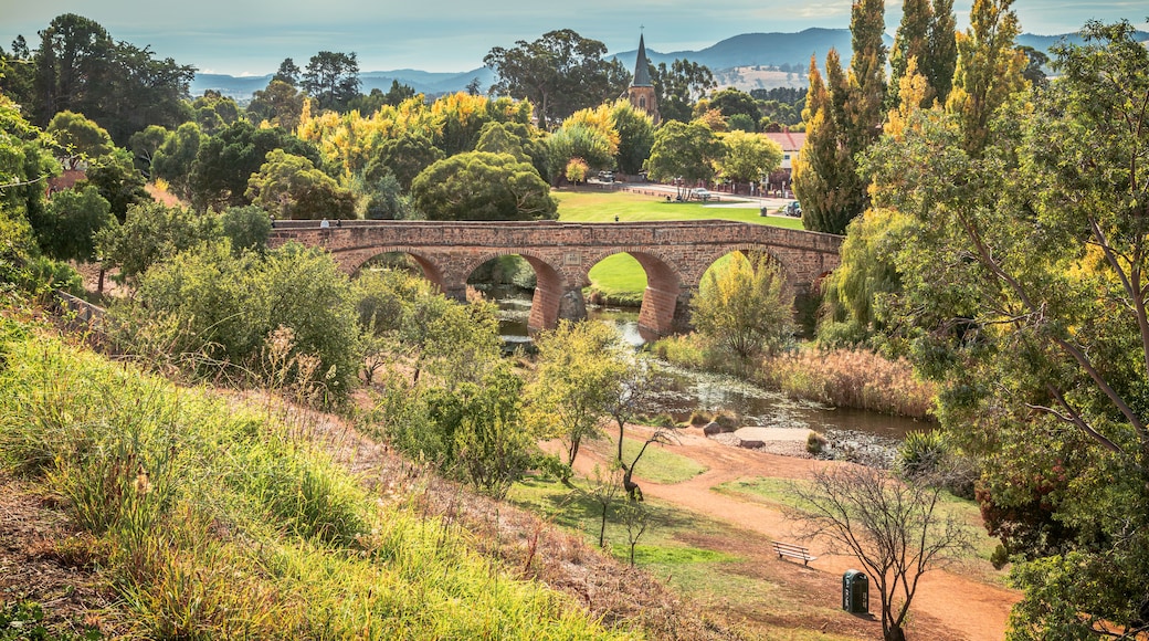 Eine Stebrücke über einem Fluss, umgeben von Bäumen und einem Park mit einem entfernten Kirchturm.