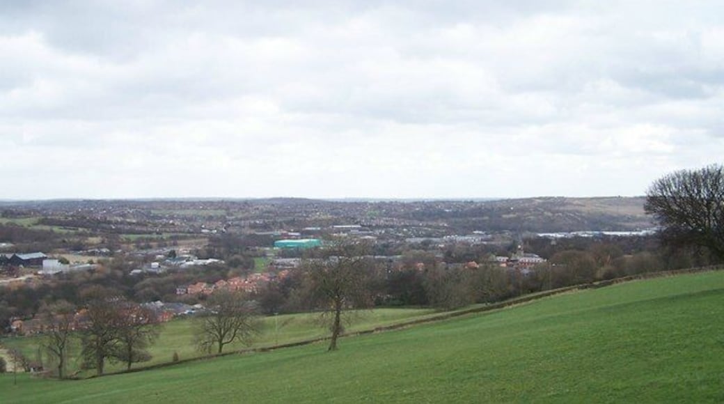 View from Worrall Road towards Sheffield In the centre foreground are houses on the Wadsley Park Village estate, with housing in Winn Gardens immediately behind. The green building is (I think) Fletchers Bakery on Clay Wheels Lane. Just visible on the right hand side, immediately to the left of the tree, are parts of Sheffield Wednesday's Football Ground.