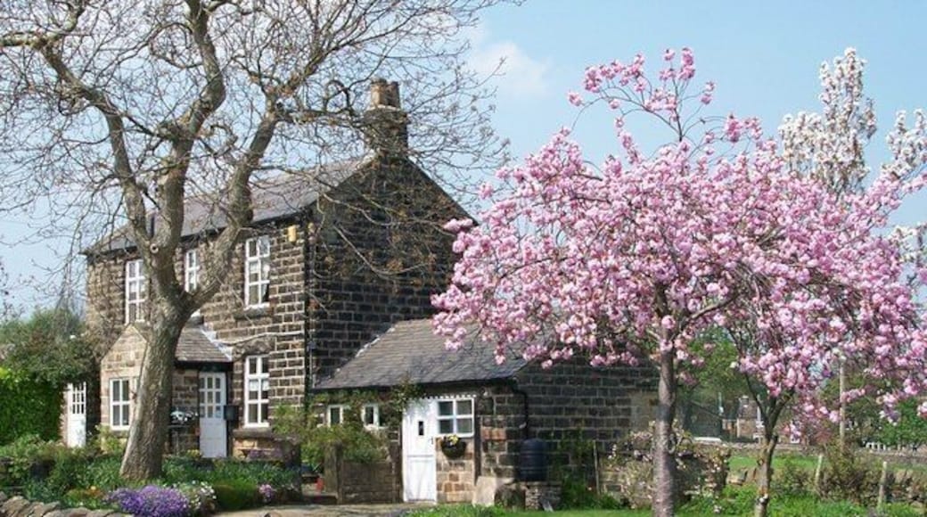 Walshaw House, Worrall, Sheffield Lovely house enhanced by the blossom