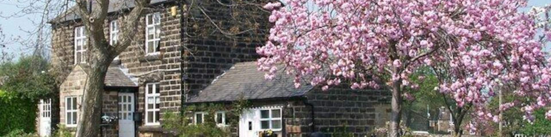 Walshaw House, Worrall, Sheffield Lovely house enhanced by the blossom