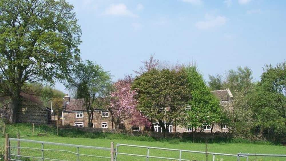 Un paysage rural avec des maisons en pierre, une clôture en métal et des arbres en fleurs.