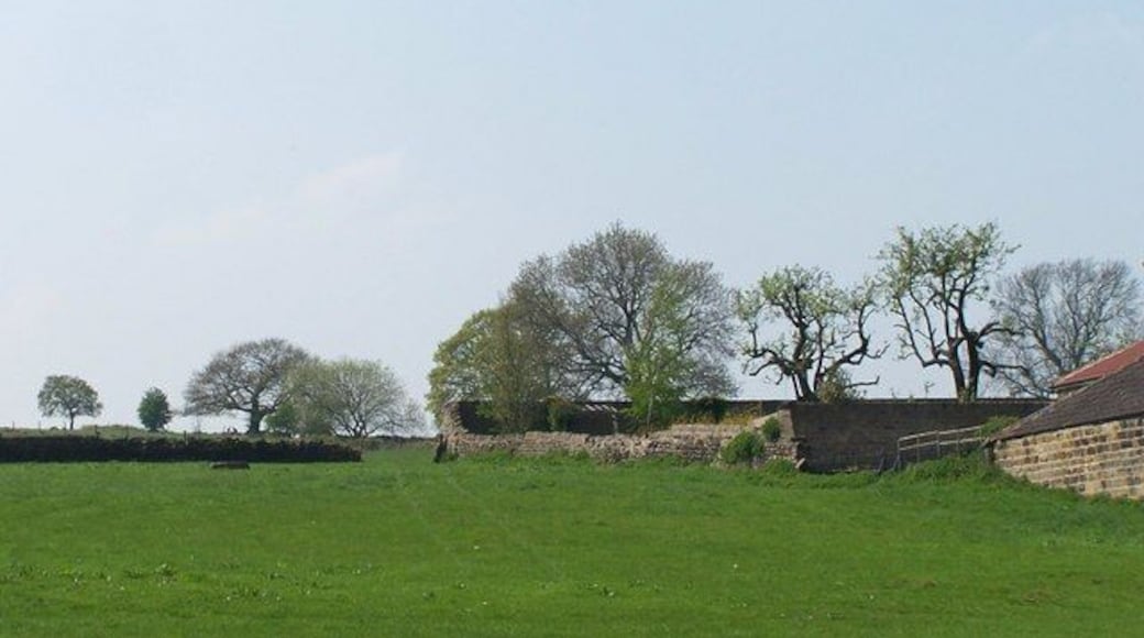 Quarry Farm Field, Worrall, near Oughtibridge. The Trees in Silhouette looked superb on this day! A bit of Quarry Farm is just visible on the right! 1116894