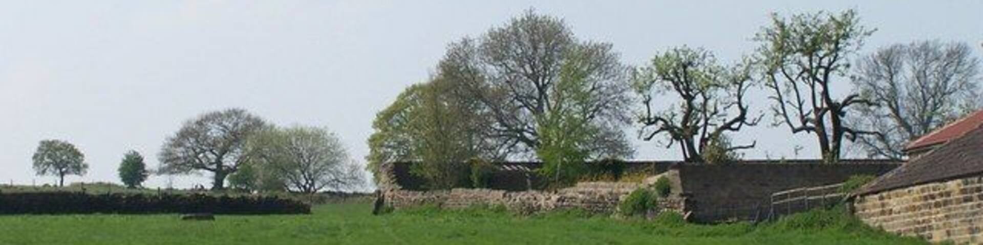 A rural landscape with a stone wall, a brick building, and trees.