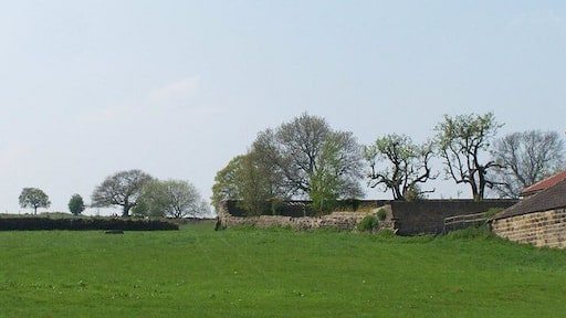Quarry Farm Field, Worrall, near Oughtibridge. The Trees in Silhouette looked superb on this day! A bit of Quarry Farm is just visible on the right! 1116894