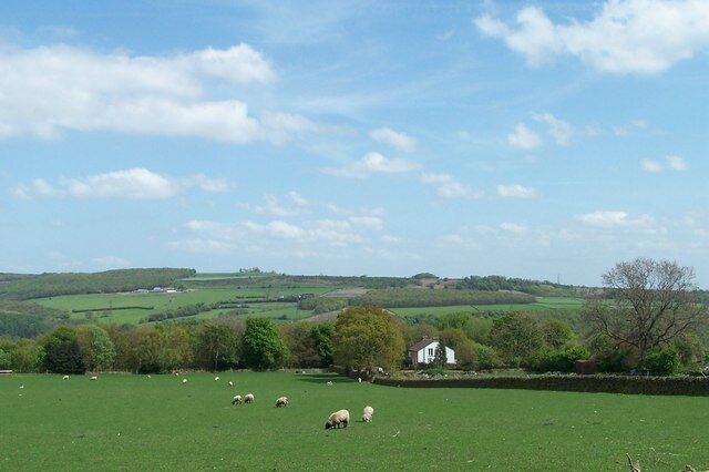 The Asplands, from Birtin Footpath, Worrall, Sheffield The Asplands is the white house in the mid-ground. Jawbone Hill, above Oughtibridge, is visible, in the distance, from the footpath, but probably not from The Asplands!
