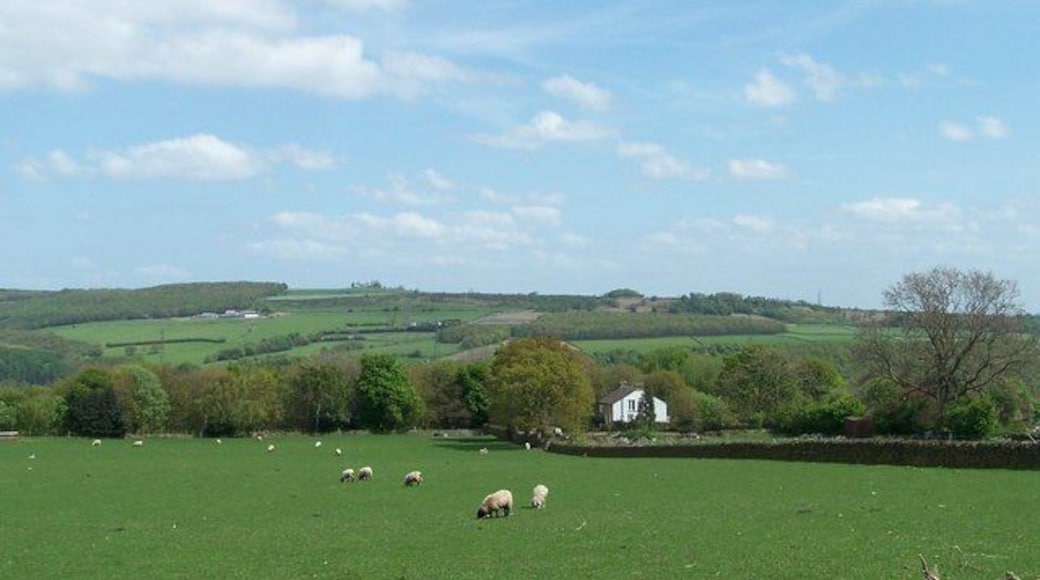 The Asplands, from Birtin Footpath, Worrall, Sheffield The Asplands is the white house in the mid-ground. Jawbone Hill, above Oughtibridge, is visible, in the distance, from the footpath, but probably not from The Asplands!
