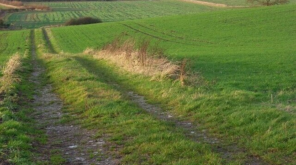 Farmland, Ashbury A track and arable land on the hillside beside the hamlet of Kingstone Winslow. Beyond is the flat expanse of the Vale of Whitehorse.