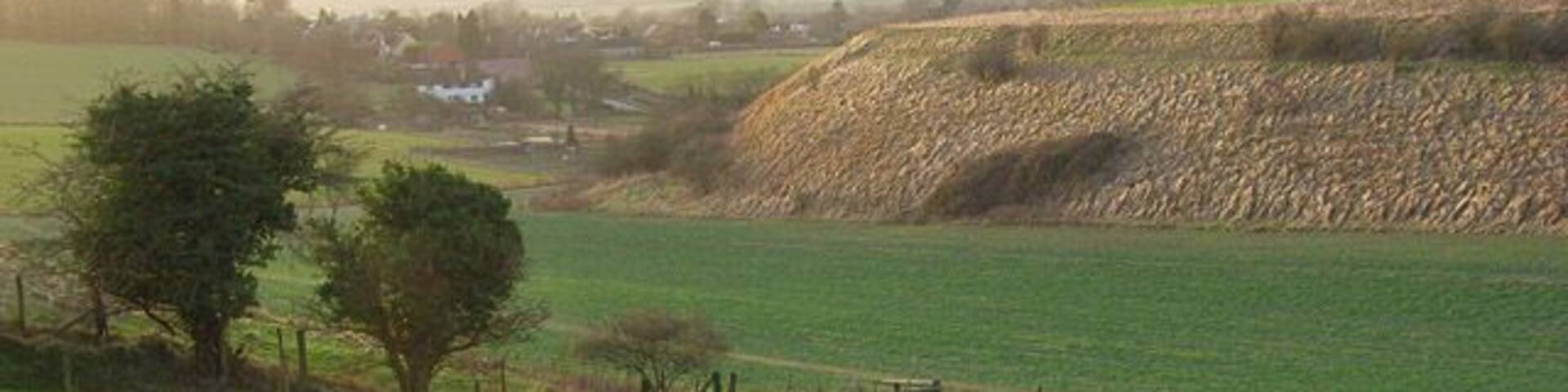 Downland, Ashbury Looking across the dry valley at the foot of Odstone Coombes. There's a crop of oil-seed rape in the bottom of the valley.