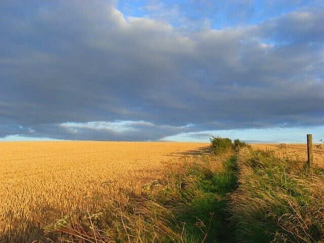 Farmland above Ashbury The start of the footpath climbing towards the Ridgeway from above Ashbury church.