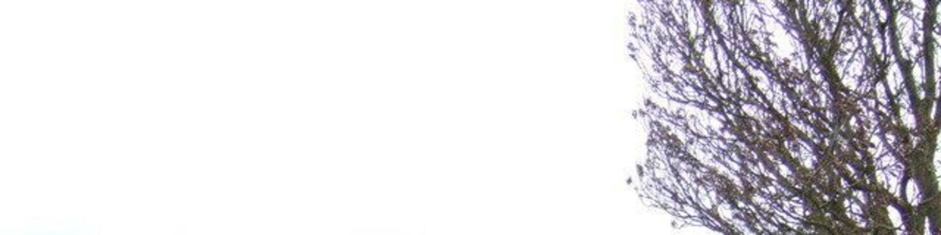 Odstone Farm The footpath starting at 306577 carries on up this farm road and behind the camera to ascend Odstone Hill.