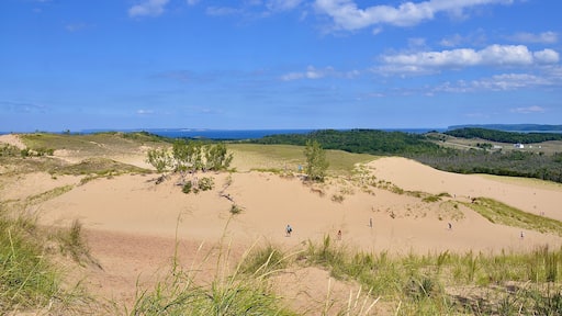 Sleeping Bear Dunes National Lakeshore, located along the northwest coast of the Lower Peninsula of Michigan . Scenery of the dunes and lakeshore