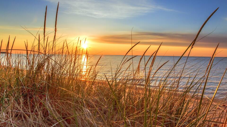 A sunset over a beach with tall grasses in the foreground.