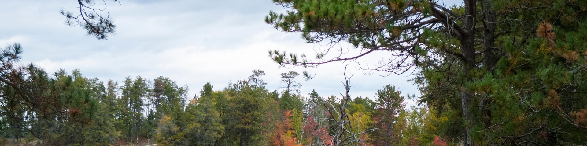 Scenic road through Seney National Wildlife Refuge