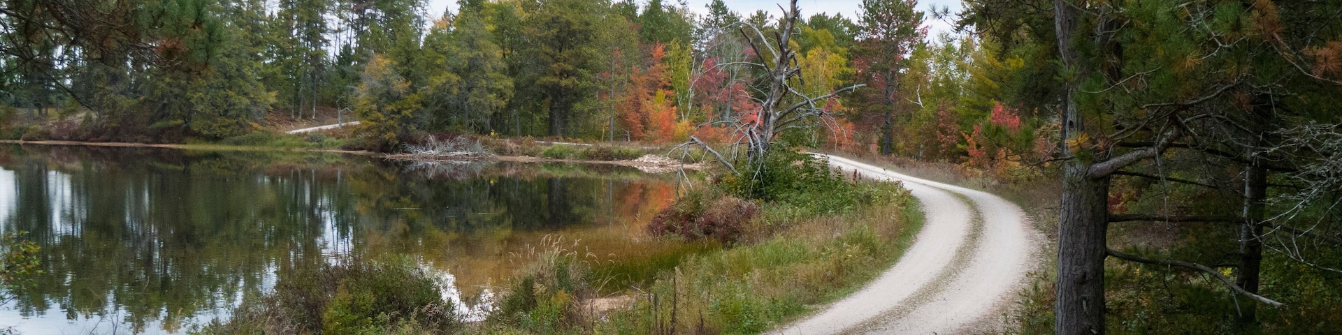 Scenic road through Seney National Wildlife Refuge
