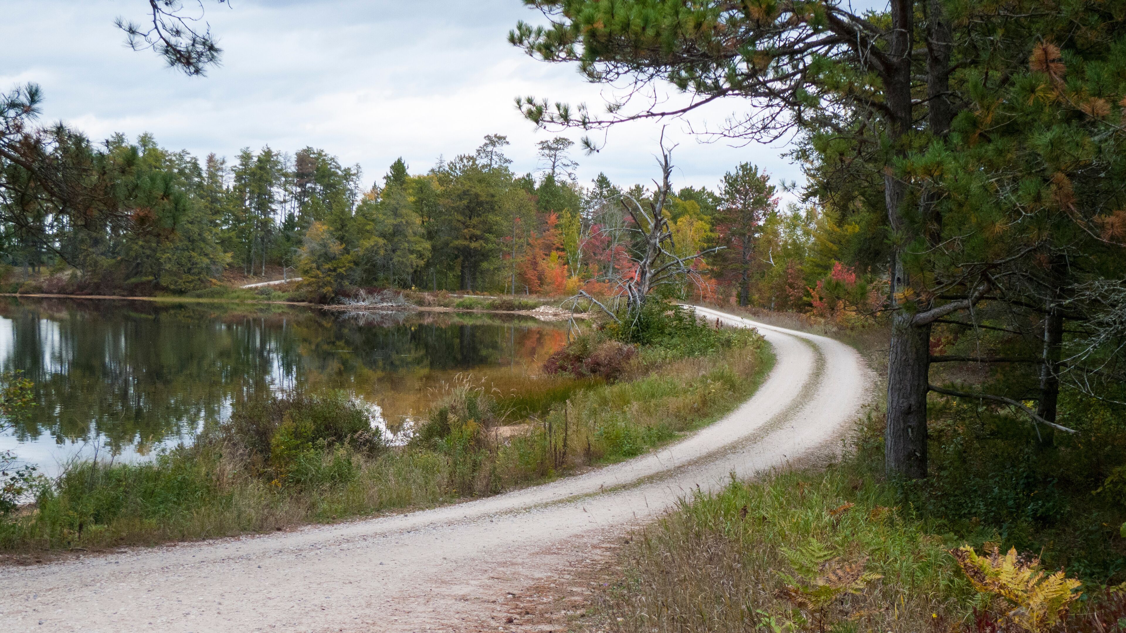 A gravel road curving through a forest with a lake on one side.