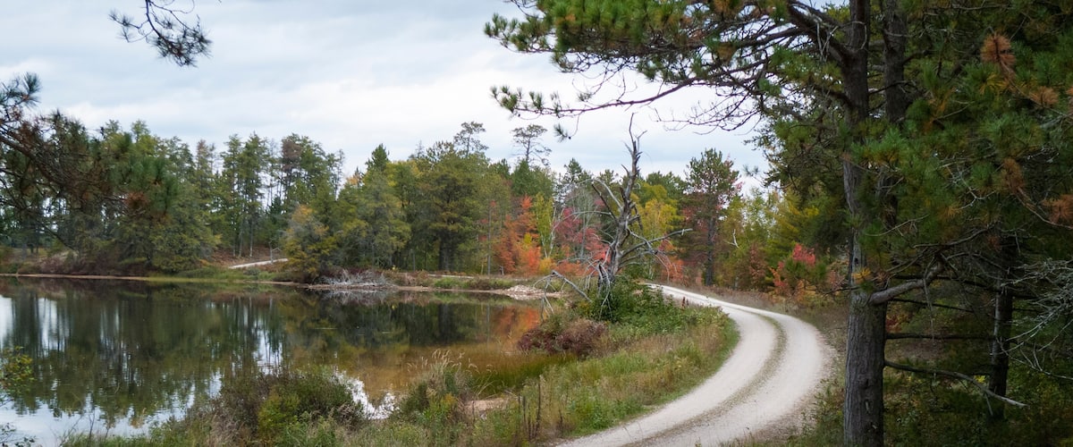 A gravel road curving through a forest with a lake on one side.