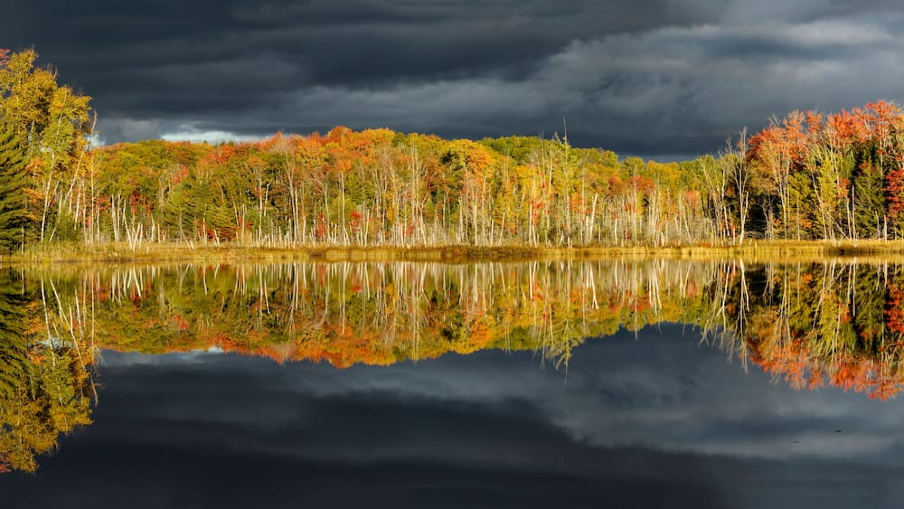 Un lac paisible où se reflètent les arbres aux feuilles d’automne, sous un ciel nuageux.