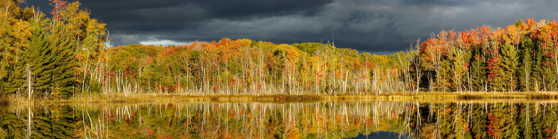 A calm lake reflecting trees with autumn foliage under a cloudy sky.