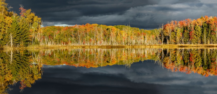 Shoreline of Red Jack Lake at sunrise, Hiawatha National Forest, Upper Peninsula of Michigan.