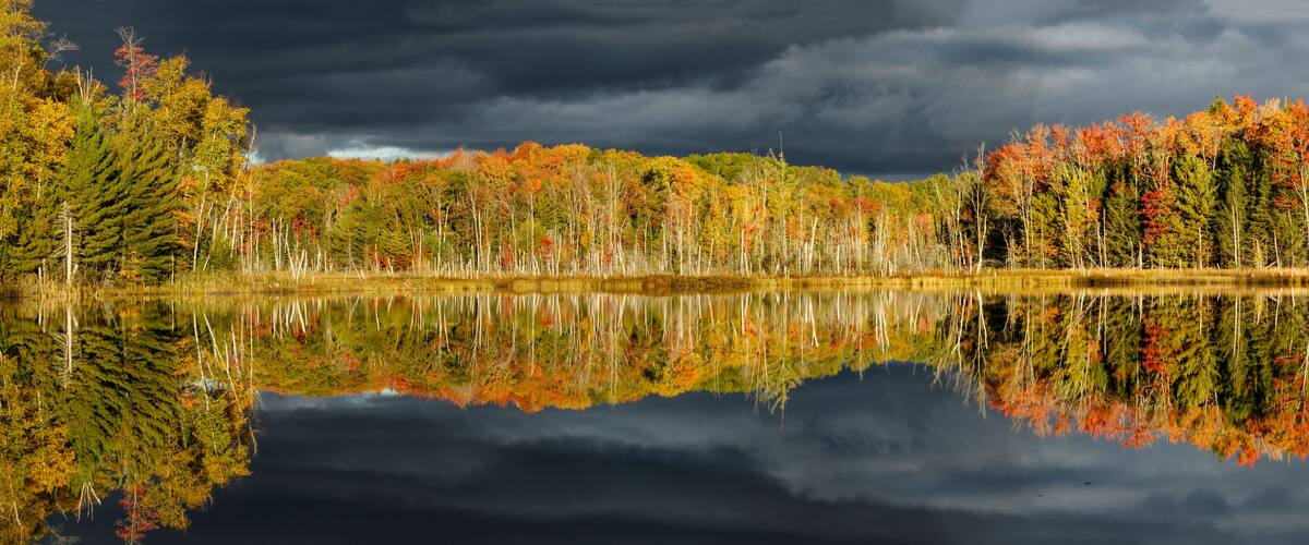 A calm lake reflecting trees with autumn foliage under a cloudy sky.